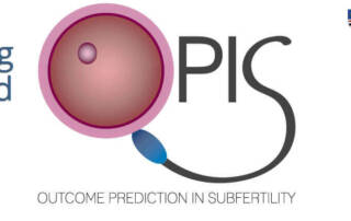 Schwangerschaftswahrscheinlichkeit und Geburt bei IVF Erfolgs Tool Opis