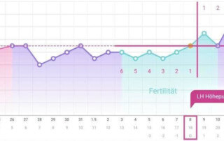 Wann kann man schwanger werden Zykluskurve mit LH Höhepunkt
