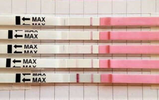 Orakeln mit Ovus Ovulationstest Testreihe