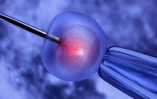 Idiopathische Sterilität IVF Chancen