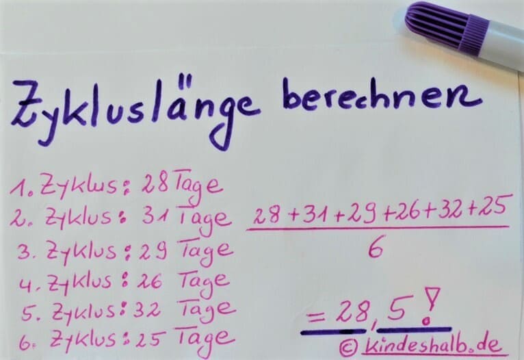 29+ schlau Bilder Zyklus 21 Tage Wann Eisprung : Der Monatszyklus Einer Frau Fgz Karnten : Die tage vor dem berechneten eisprung sind ebenfalls besonders fruchtbare tage.