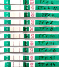 SST Testreihe: One Step, Easy@Home, Z1 Pharma & KTX7