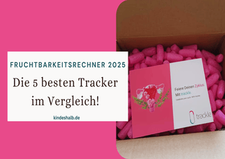 Fruchtbarkeitsrechner Test 2025