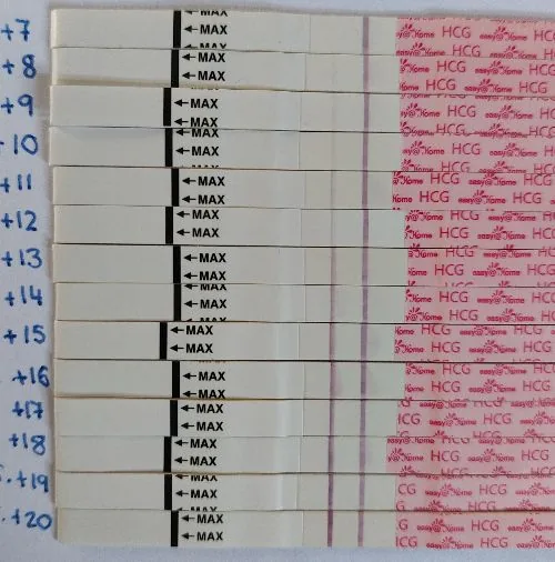 Ovu-Orakel Testreihe von ES+7 bis ES+20 mit mehreren Ovulationstests im Verlauf