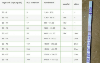 HCG Tabelle Urin mit positivem Schwangerschaftstest