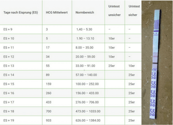 Hcg Tabelle Urin Schwangerschaftstest Ab Wann Moglich